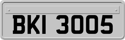 BKI3005