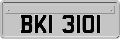 BKI3101