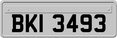 BKI3493