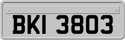 BKI3803