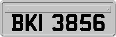 BKI3856