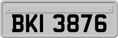 BKI3876