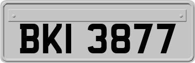 BKI3877