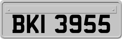 BKI3955