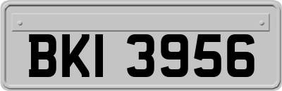 BKI3956
