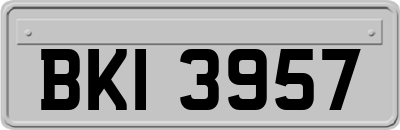 BKI3957