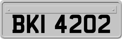 BKI4202