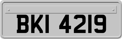 BKI4219