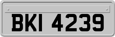 BKI4239