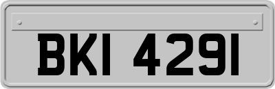 BKI4291