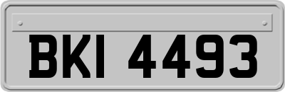 BKI4493