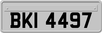 BKI4497