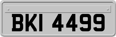 BKI4499