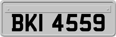 BKI4559