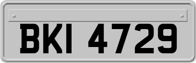 BKI4729