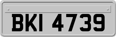 BKI4739
