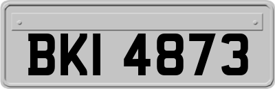 BKI4873