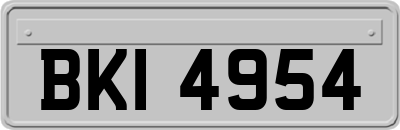 BKI4954