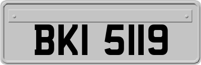 BKI5119