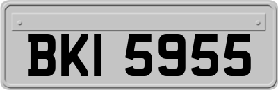 BKI5955