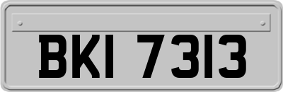 BKI7313