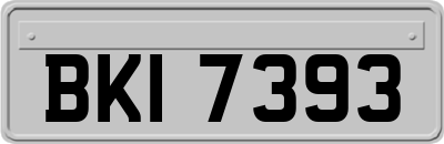 BKI7393