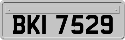 BKI7529