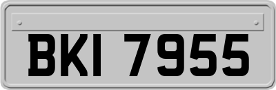 BKI7955