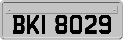 BKI8029