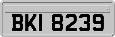 BKI8239