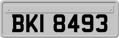BKI8493
