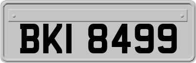 BKI8499