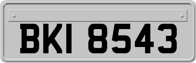 BKI8543