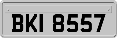BKI8557