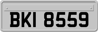 BKI8559
