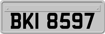 BKI8597