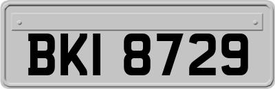 BKI8729