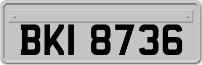 BKI8736