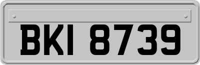 BKI8739