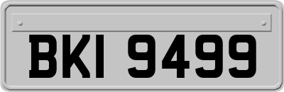 BKI9499