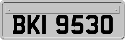 BKI9530
