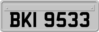 BKI9533