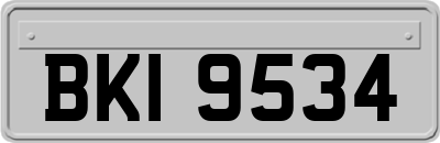 BKI9534
