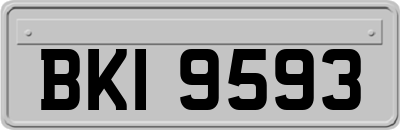 BKI9593
