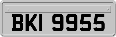 BKI9955