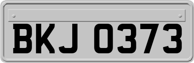 BKJ0373