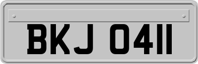 BKJ0411