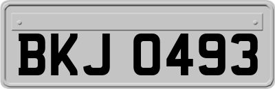 BKJ0493
