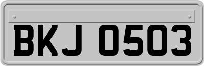BKJ0503