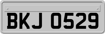 BKJ0529